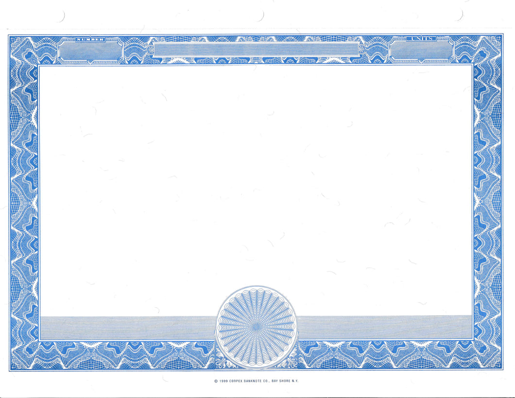 Blank Border Blue with Blank Back Units- Set of 100
