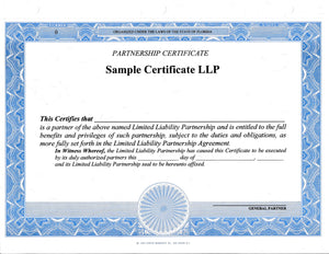 Blank LP Certificates - Set of 100