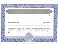 Blank Standard 2 Class Stock Certificates - Set of 100