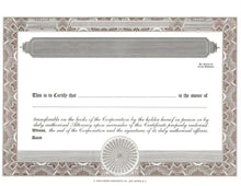 Blank Standard 2 Class Stock Certificates - Set of 12