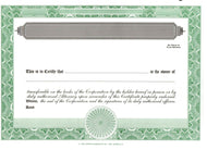 Blank Standard 2 Class Stock Certificates  - Set of 500