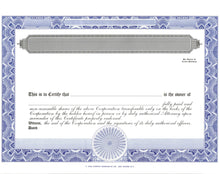 E Stock Certificates | Electronic Stock Certificates | Blank Standard Stock Certificates - Set of 12