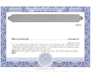 Blank Standard 1 Class Stock Certificates - Set of 12