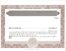 E Stock Certificates | Electronic Stock Certificates | Blank Standard Stock Certificates - Set of 12