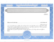 E Stock Certificates | Electronic Stock Certificates | Blank Standard Stock Certificates - Set of 12