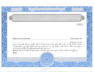 E Stock Certificates | Electronic Stock Certificates | Blank Standard Stock Certificates - Set of 12