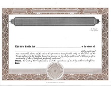 E Stock Certificates | Electronic Stock Certificates | Blank Standard Stock Certificates - Set of 12