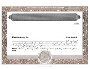 E Stock Certificates | Electronic Stock Certificates | Blank Standard Stock Certificates - Set of 12