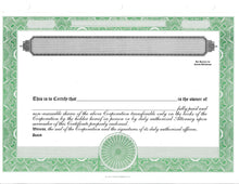 E Stock Certificates | Electronic Stock Certificates | Blank Standard Stock Certificates - Set of 12