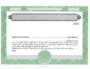 E Stock Certificates | Electronic Stock Certificates | Blank Standard Stock Certificates - Set of 12