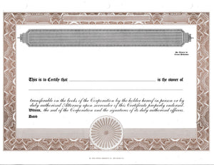 Blank Standard 2 Class Stock Certificates - Set of 100