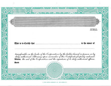 Blank Standard 2 Class Stock Certificates - Set of 20