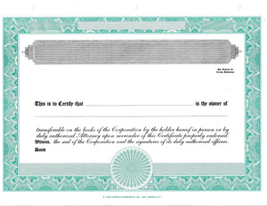 Blank Standard 2 Class Stock Certificates - Set of 20