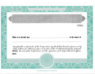 Blank Standard 2 Class Stock Certificates - Set of 100