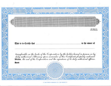 Blank Standard 2 Class Stock Certificates - Set of 20