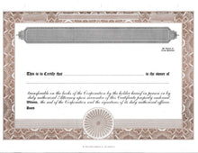 Blank Standard 2 Class Stock Certificates - Set of 20