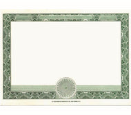 Blank Stock Certificate - Blank Border Only Shares - Set Of 100