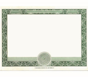 Blank Stock Certificate - Blank Border Only Shares - Set Of 250