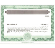 Standard Certificates - Blank Standard Stock Certificates - Set Of 100